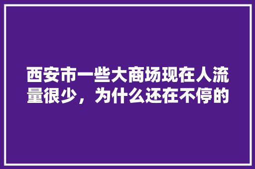 西安市一些大商场现在人流量很少，为什么还在不停的建,为什么建不了商城呢。