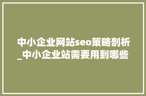 中小企业网站seo策略剖析_中小企业站需要用到哪些SEO策略 中小企业网站seo策略剖析_中小企业站需要用到哪些SEO策略 搜狗SEO