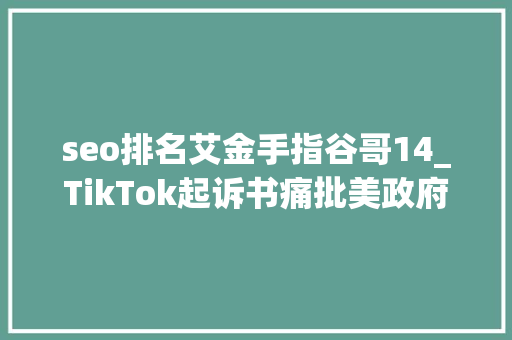 seo排名艾金手指谷哥14_TikTok起诉书痛批美政府首次公布在美拥有1亿用户喜好程度远超人们想象