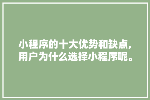小程序的十大优势和缺点,用户为什么选择小程序呢。 小程序的十大优势和缺点,用户为什么选择小程序呢。 网站建设公司