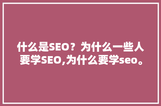 什么是SEO？为什么一些人要学SEO,为什么要学seo。 SEO关键词