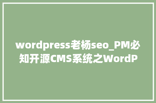 wordpress老杨seo_PM必知开源CMS系统之WordPress wordpress老杨seo_PM必知开源CMS系统之WordPress 必应SEO
