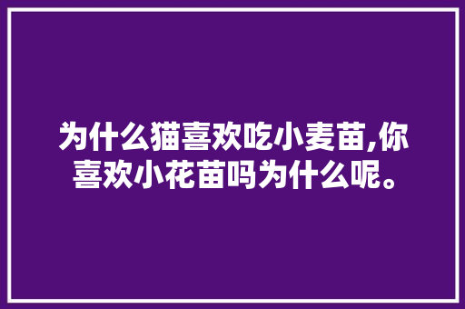 为什么猫喜欢吃小麦苗,你喜欢小花苗吗为什么呢。