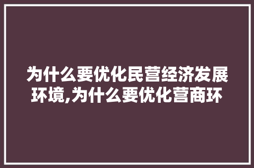 为什么要优化民营经济发展环境,为什么要优化营商环境。 为什么要优化民营经济发展环境,为什么要优化营商环境。 神马SEO