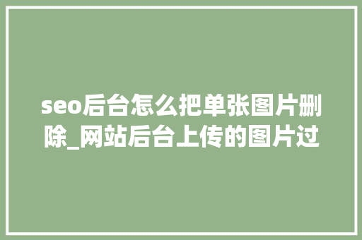 seo后台怎么把单张图片删除_网站后台上传的图片过大年夜会导致哪些问题单张若干kb比较合适