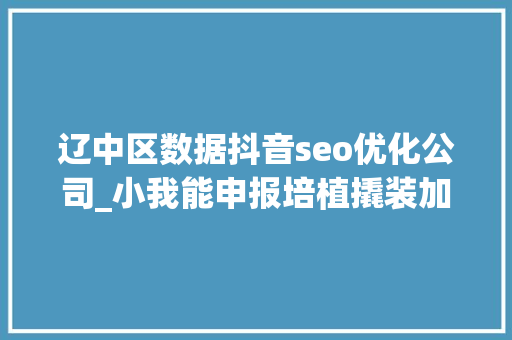 辽中区数据抖音seo优化公司_小我能申报培植撬装加油站吗
