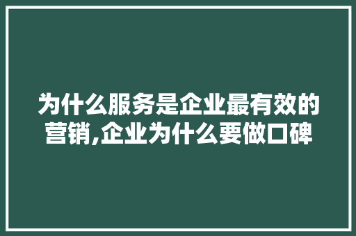 为什么服务是企业最有效的营销,企业为什么要做口碑营销研究报告,白皮书。 SEO关键词 为什么服务是企业最有效的营销,企业为什么要做口碑营销研究报告,白皮书。 为什么服务是企业最有效的营销,企业为什么要做口碑营销研究报告,白皮书。 SEO关键词