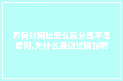 看网站网址怎么区分是不是官网,为什么要测试网站呢。