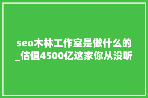seo木林工作室是做什么的_估值4500亿这家你从没听过的中国公司活成了全球时尚顶流