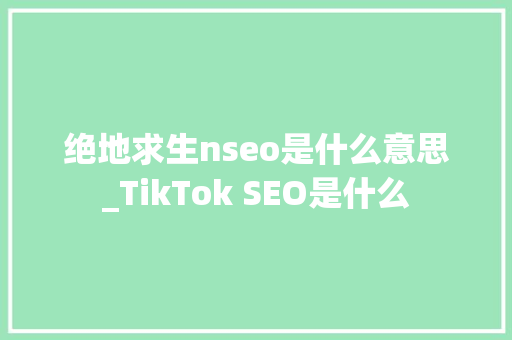 绝地求生nseo是什么意思_TikTok SEO是什么