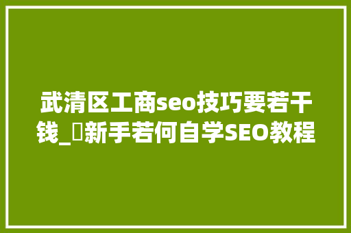 武清区工商seo技巧要若干钱_​新手若何自学SEO教程书本对象推荐 武清区工商seo技巧要若干钱_​新手若何自学SEO教程书本对象推荐 神马SEO