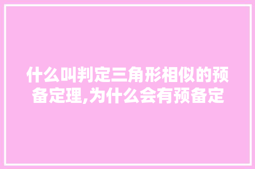 什么叫判定三角形相似的预备定理,为什么会有预备定理的存在。