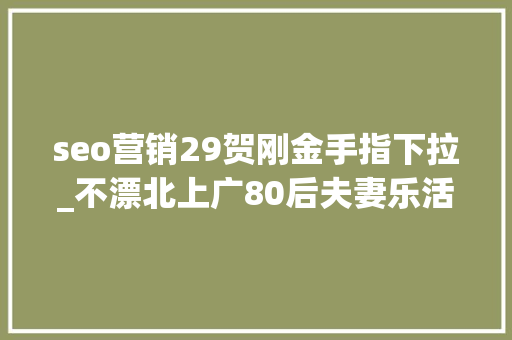 seo营销29贺刚金手指下拉_不漂北上广80后夫妻乐活小城赚百万