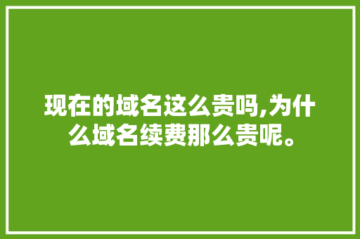 现在的域名这么贵吗,为什么域名续费那么贵呢。 现在的域名这么贵吗,为什么域名续费那么贵呢。 百度SEO