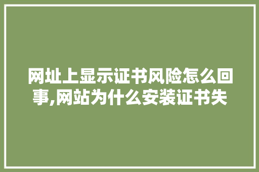 网址上显示证书风险怎么回事,网站为什么安装证书失败。 网址上显示证书风险怎么回事,网站为什么安装证书失败。 百度SEO