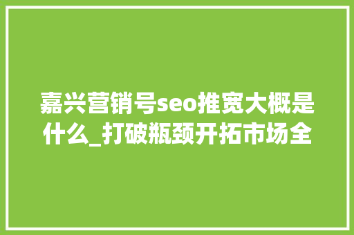 嘉兴营销号seo推宽大概是什么_打破瓶颈开拓市场全网智能营销推广策略解析