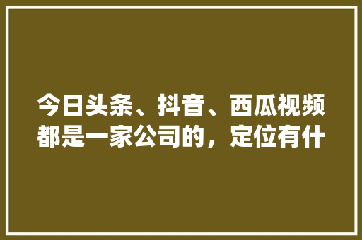 今日头条、抖音、西瓜视频都是一家公司的，定位有什么区别,企业为什么要创建自己的app。 今日头条、抖音、西瓜视频都是一家公司的，定位有什么区别,企业为什么要创建自己的app。 网站建设公司