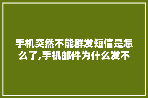 手机突然不能群发短信是怎么了,手机邮件为什么发不了图片。 手机突然不能群发短信是怎么了,手机邮件为什么发不了图片。 SEO关键词