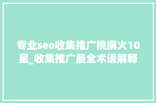 专业seo收集推广挑撰火10星_收集推广最全术语解释建议收藏