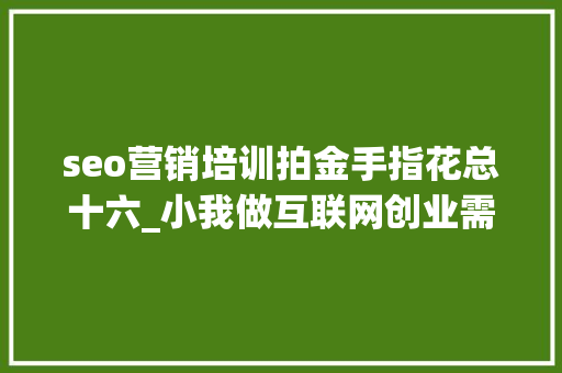 seo营销培训拍金手指花总十六_小我做互联网创业需要学些什么 seo营销培训拍金手指花总十六_小我做互联网创业需要学些什么 搜狗SEO