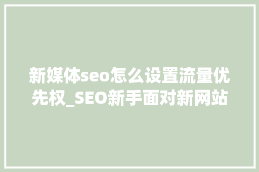 新媒体seo怎么设置流量优先权_SEO新手面对新网站应该若何去优化 新媒体seo怎么设置流量优先权_SEO新手面对新网站应该若何去优化 必应SEO