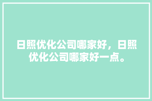 日照优化公司哪家好，日照优化公司哪家好一点。 日照优化公司哪家好，日照优化公司哪家好一点。 网站建设公司