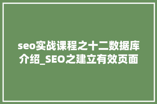 seo实战课程之十二数据库介绍_SEO之建立有效页面数据库目的定义流程应用