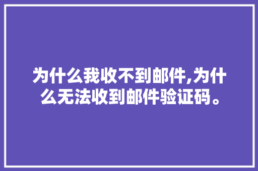 为什么我收不到邮件,为什么无法收到邮件验证码。 为什么我收不到邮件,为什么无法收到邮件验证码。 必应SEO