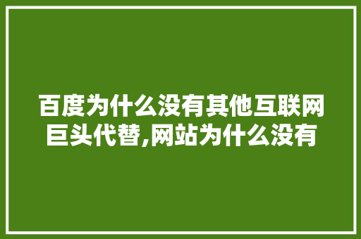 百度为什么没有其他互联网巨头代替,网站为什么没有排名了。 百度为什么没有其他互联网巨头代替,网站为什么没有排名了。 必应SEO