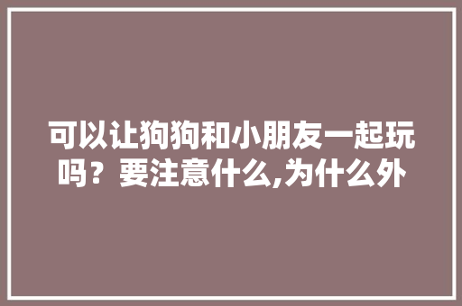 可以让狗狗和小朋友一起玩吗？要注意什么,为什么外国人喜欢嗯哼呢。
