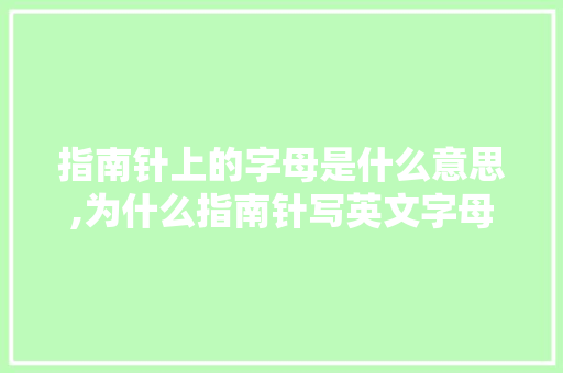 指南针上的字母是什么意思,为什么指南针写英文字母不能用。