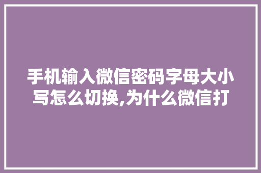 手机输入微信密码字母大小写怎么切换,为什么微信打字变成大写字母。 手机输入微信密码字母大小写怎么切换,为什么微信打字变成大写字母。 必应SEO