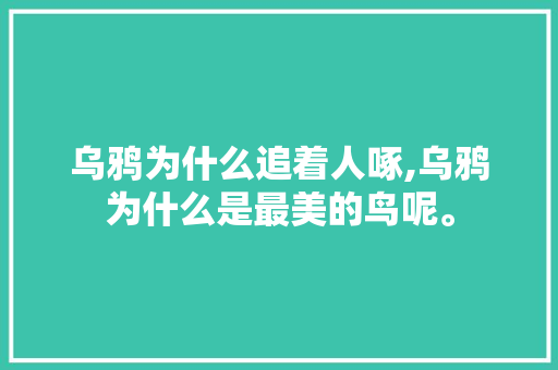 乌鸦为什么追着人啄,乌鸦为什么是最美的鸟呢。