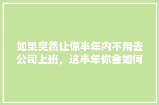 如果突然让你半年内不用去公司上班，这半年你会如何赚钱,为什么这个网站搜不出来。