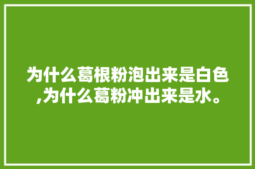 为什么葛根粉泡出来是白色,为什么葛粉冲出来是水。 为什么葛根粉泡出来是白色,为什么葛粉冲出来是水。 网站建设公司
