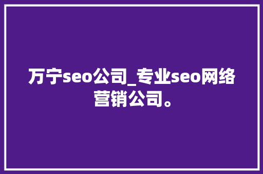 万宁seo公司_专业seo网络营销公司。