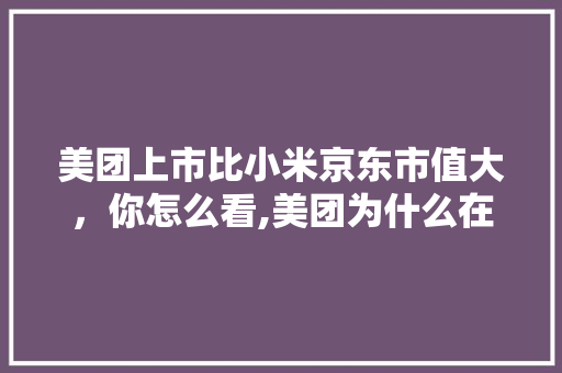 美团上市比小米京东市值大，你怎么看,美团为什么在西安裂变了。 美团上市比小米京东市值大，你怎么看,美团为什么在西安裂变了。 神马SEO