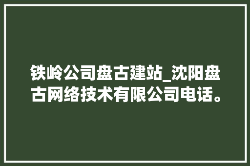 铁岭公司盘古建站_沈阳盘古网络技术有限公司电话。