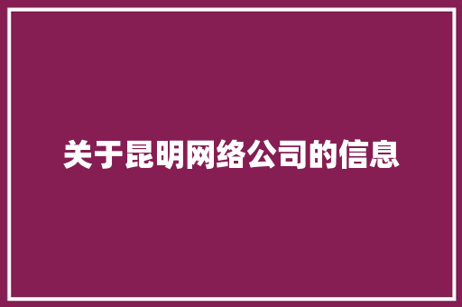 关于昆明网络公司的信息