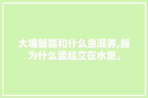 大嘴鲸能和什么鱼混养,鲸为什么竖起立在水里。 网站建设公司 大嘴鲸能和什么鱼混养,鲸为什么竖起立在水里。 大嘴鲸能和什么鱼混养,鲸为什么竖起立在水里。 网站建设公司