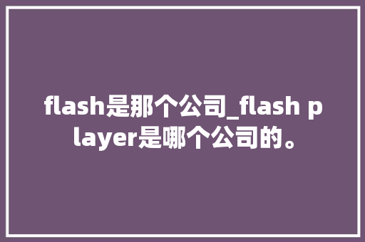 flash是那个公司_flash player是哪个公司的。