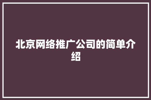 北京网络推广公司的简单介绍 北京网络推广公司的简单介绍 网站建设公司