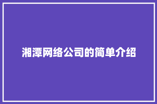 湘潭网络公司的简单介绍