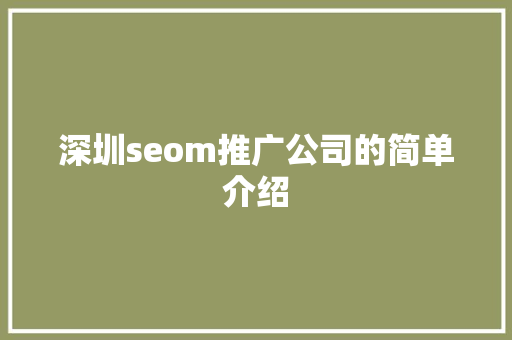深圳seom推广公司的简单介绍