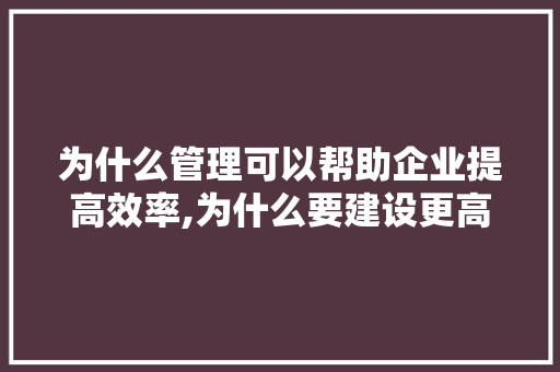 为什么管理可以帮助企业提高效率,为什么要建设更高水平。