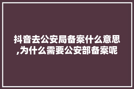 抖音去公安局备案什么意思,为什么需要公安部备案呢。