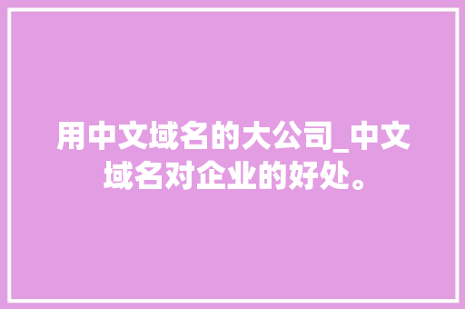 用中文域名的大公司_中文域名对企业的好处。 用中文域名的大公司_中文域名对企业的好处。 网站建设公司