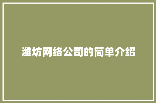 潍坊网络公司的简单介绍
