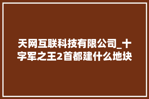 天网互联科技有限公司_十字军之王2首都建什么地块。