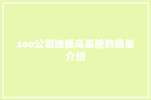 seo公司选蜂鸟系统的简单介绍